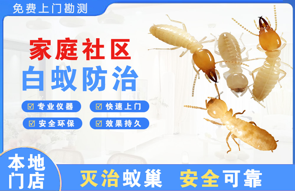 丹阳家庭社区白蚁防治