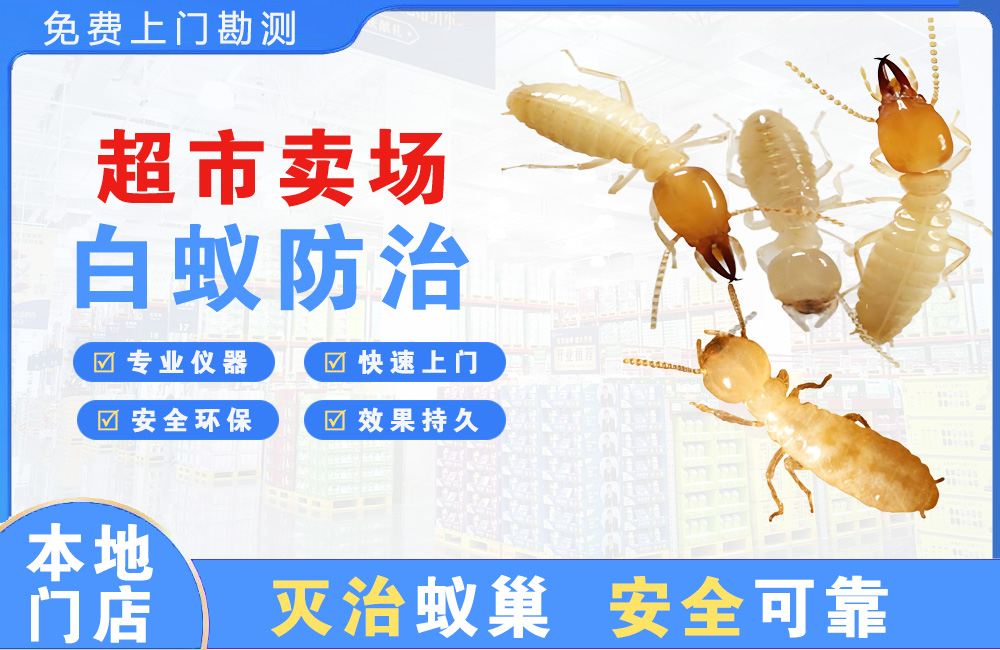 丹阳超市卖场白蚁防治