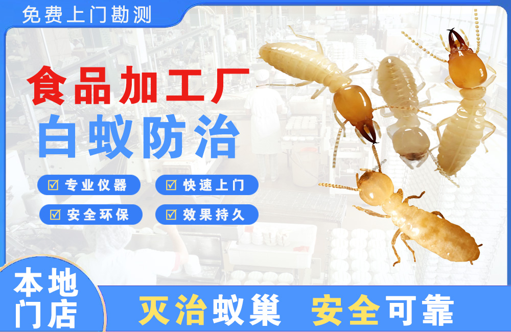 丹阳食品加工厂白蚁防治