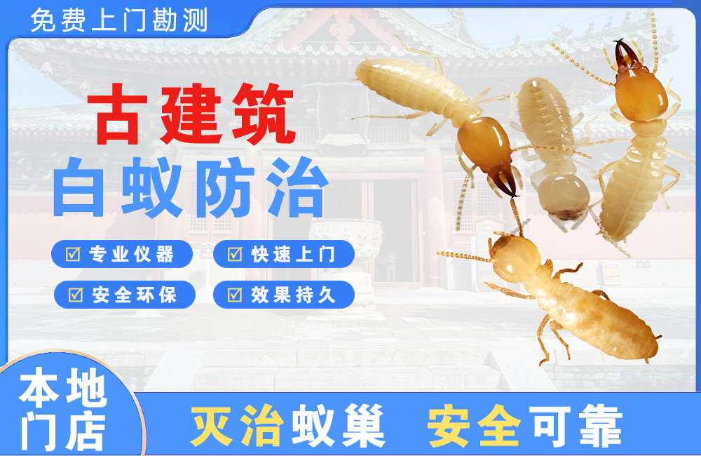 丹阳古建筑白蚁防治