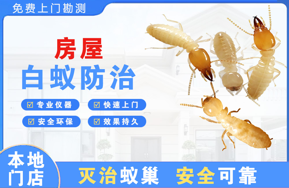 丹阳房屋白蚁防治