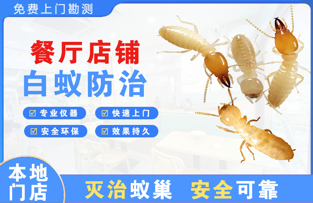 丹阳餐厅店铺白蚁防治